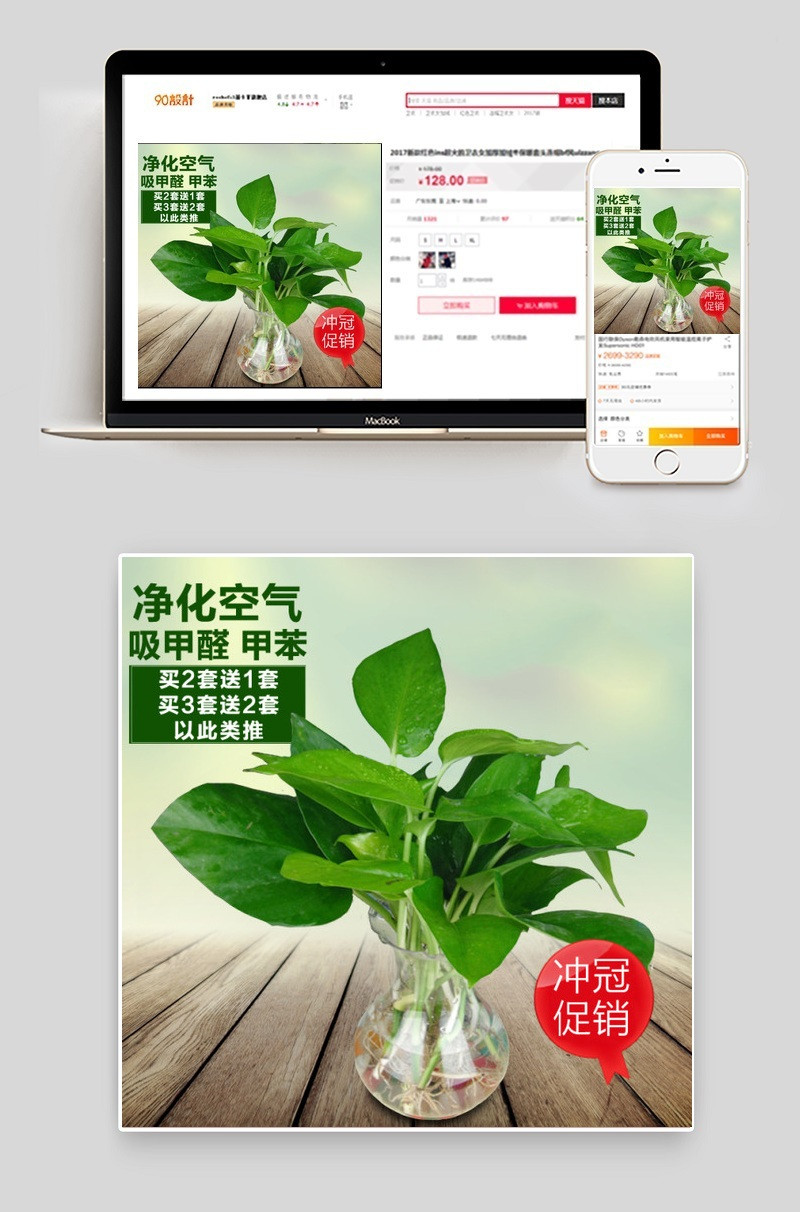 绿色盆栽植物主图