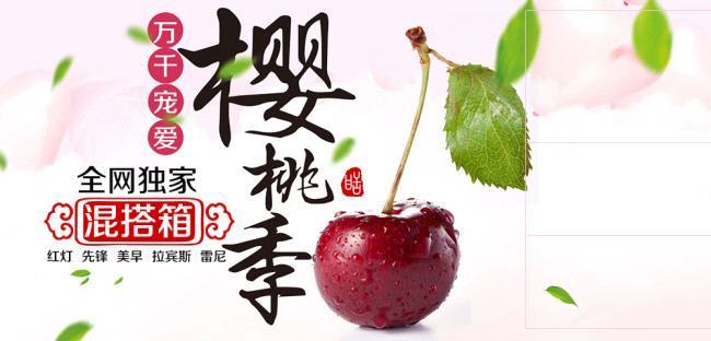 诱人的清新水果