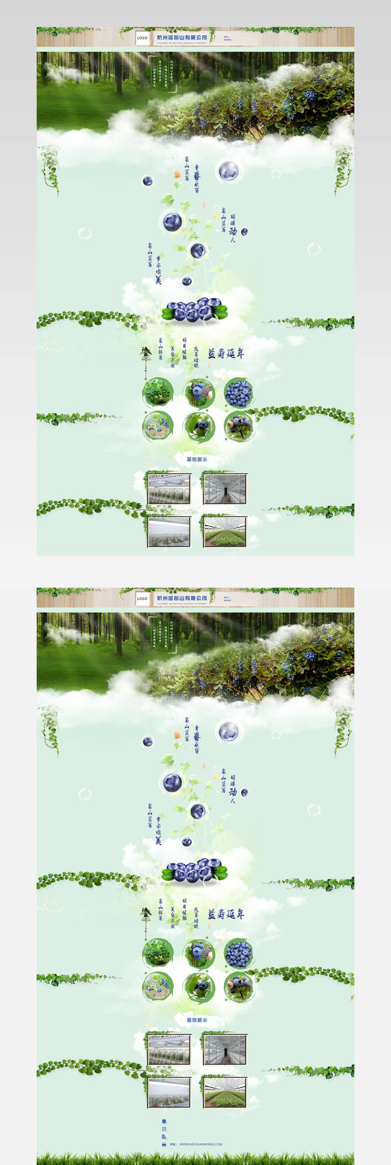 诚信通首页蓝莓