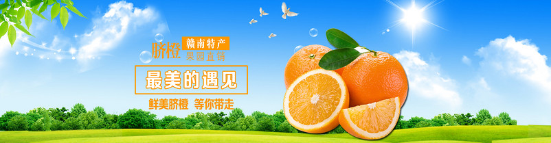 蓝色草地背景脐橙全屏海报