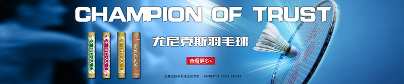 羽毛球羽毛球拍海报