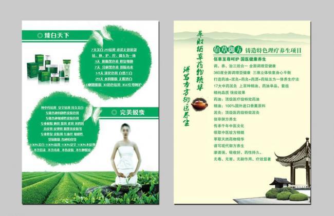 绿色养生宣传单图片