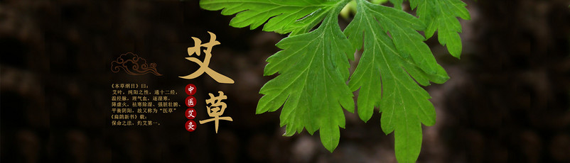 传统中医医术  艾灸 艾灸养生海报