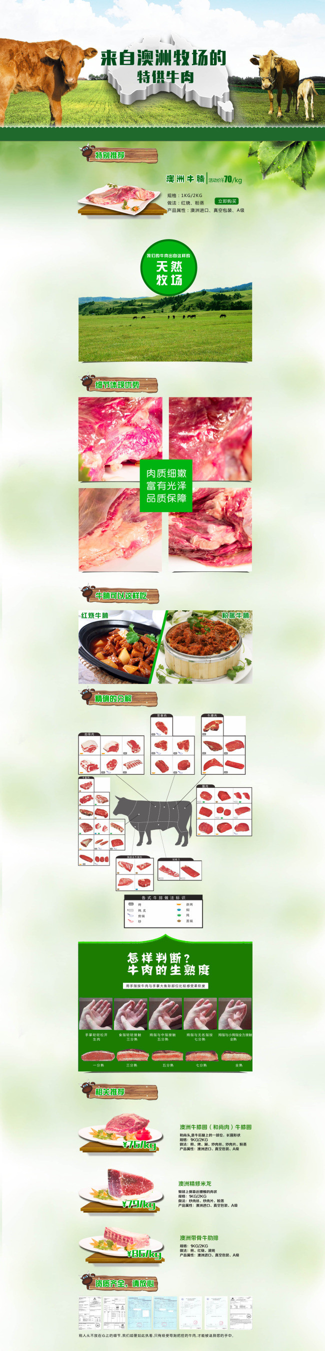 牛肉专题页