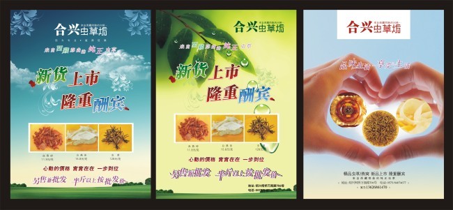 合兴虫草坊宣传单