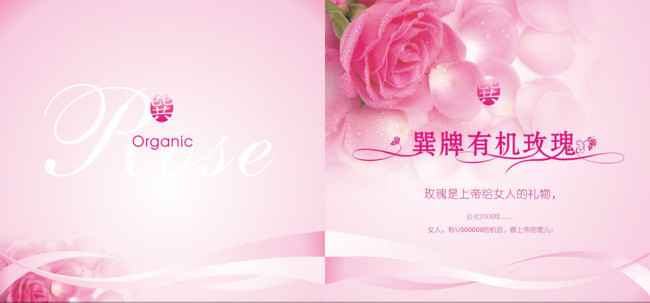 有机玫瑰产品画册封面封底设计源文件