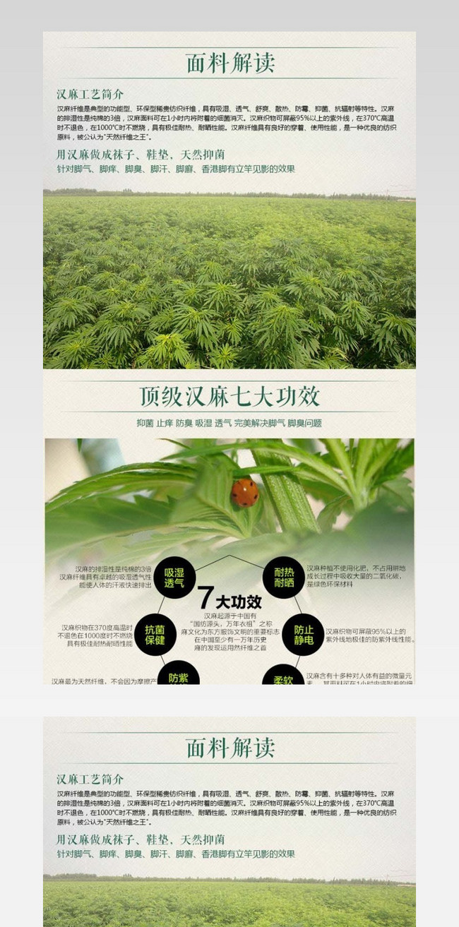 汉麻大麻详情页