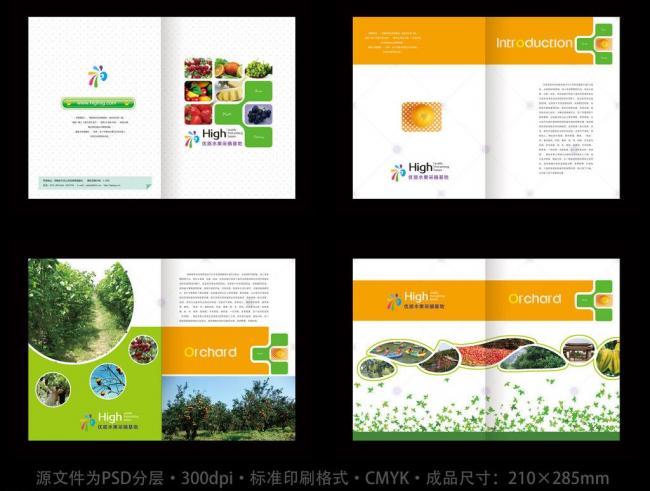 水果画册设计模板下载图片
