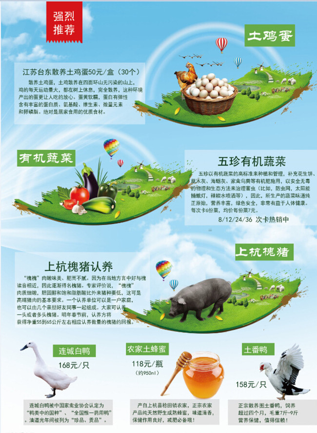 绿色食品宣传单图片