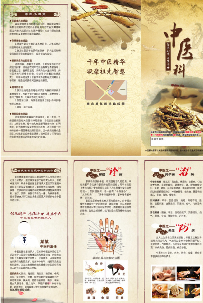 中医科折页图片