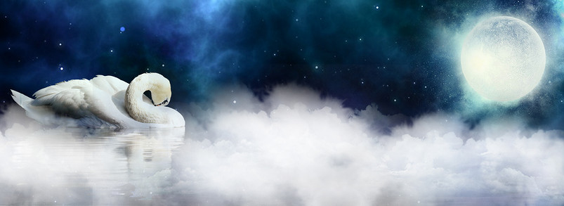 唯美月夜天鹅梦幻背景