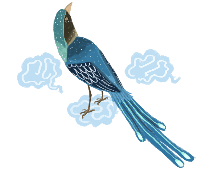 国潮系列中国风手绘蓝雀祥云png
