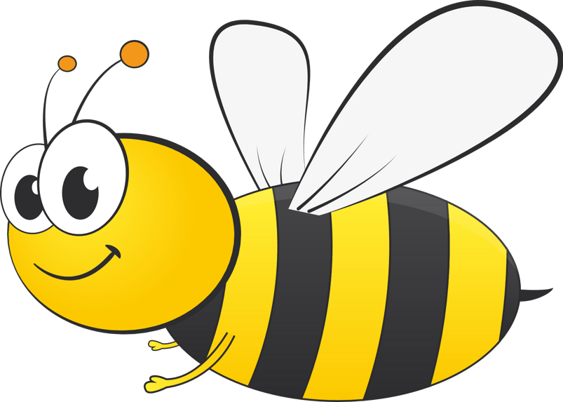 自然界黄黑色条纹昆虫蜜蜂