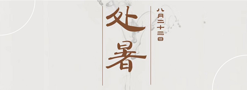 灰色中国处暑传统节气