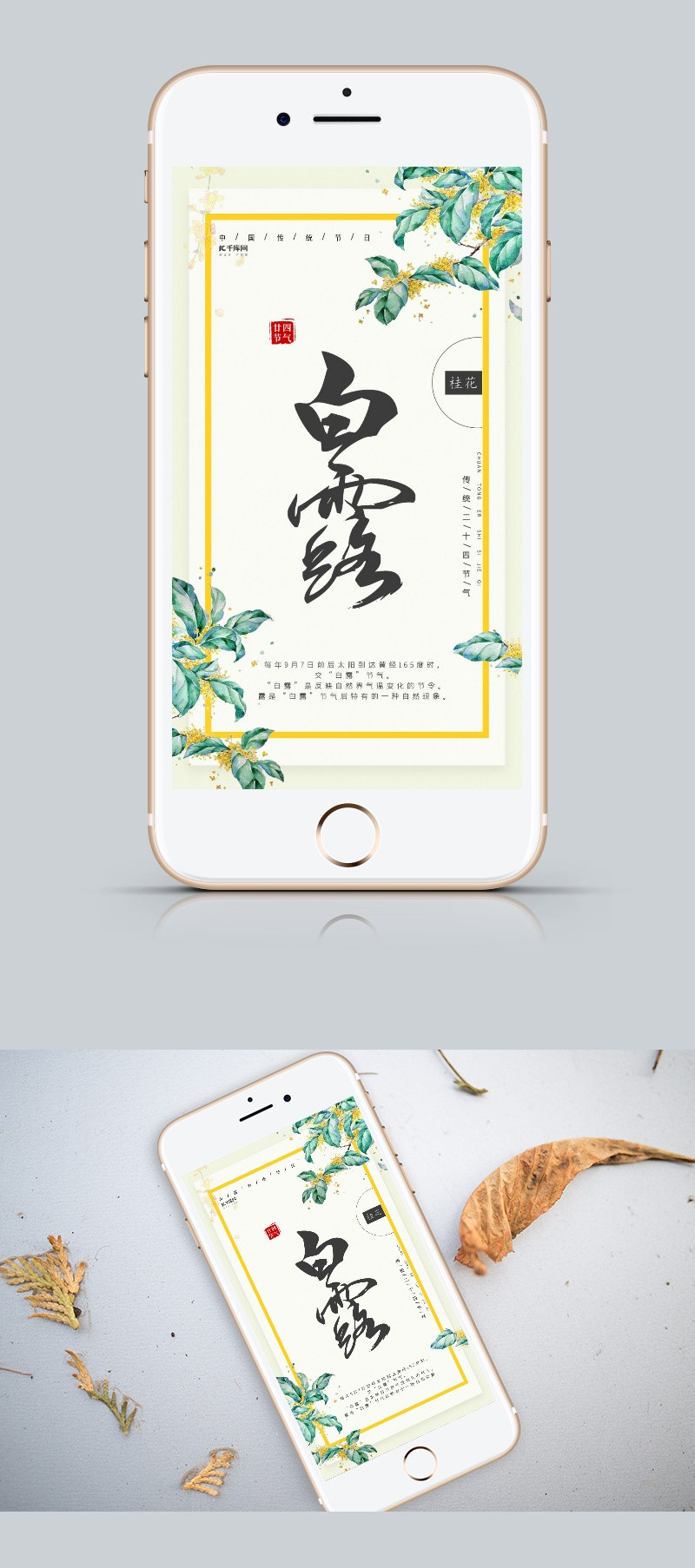 中国风简约大气白露宣传手机海报