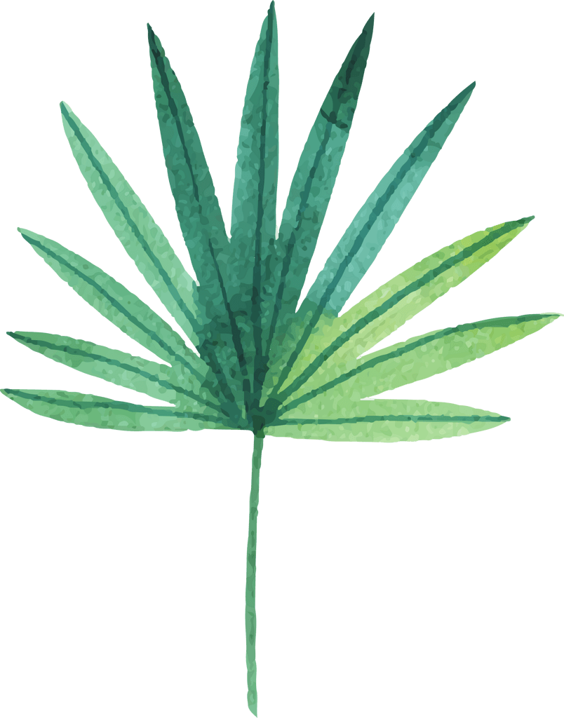 小清新绿色植物手绘插画节日素材免扣