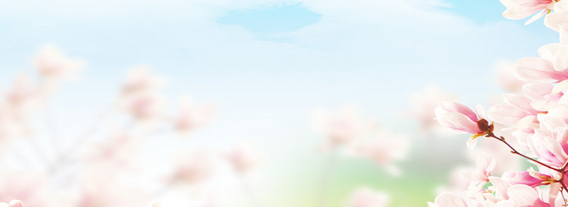 清新淡雅鲜花banner背景