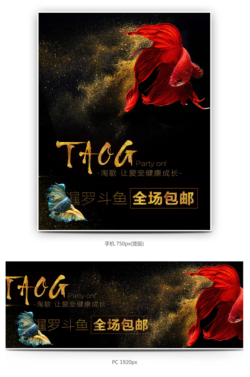 奢华活体斗鱼海报