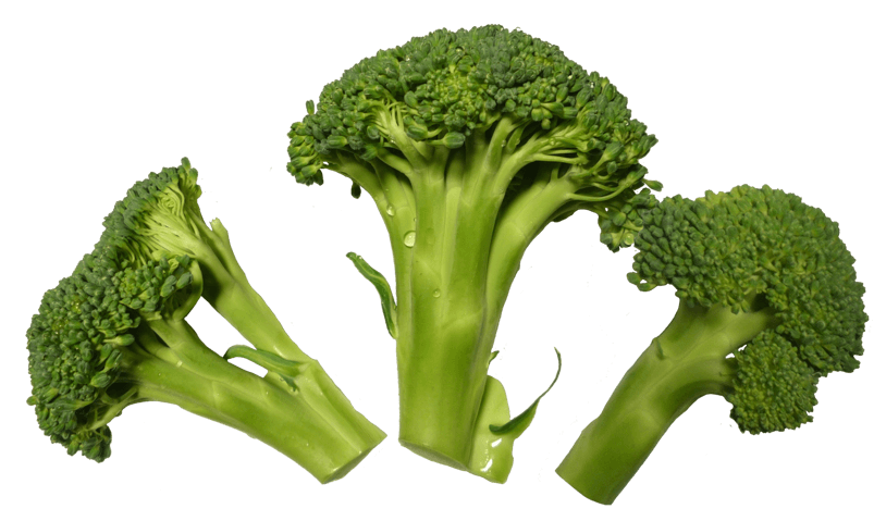 深绿色有机蔬菜西兰花