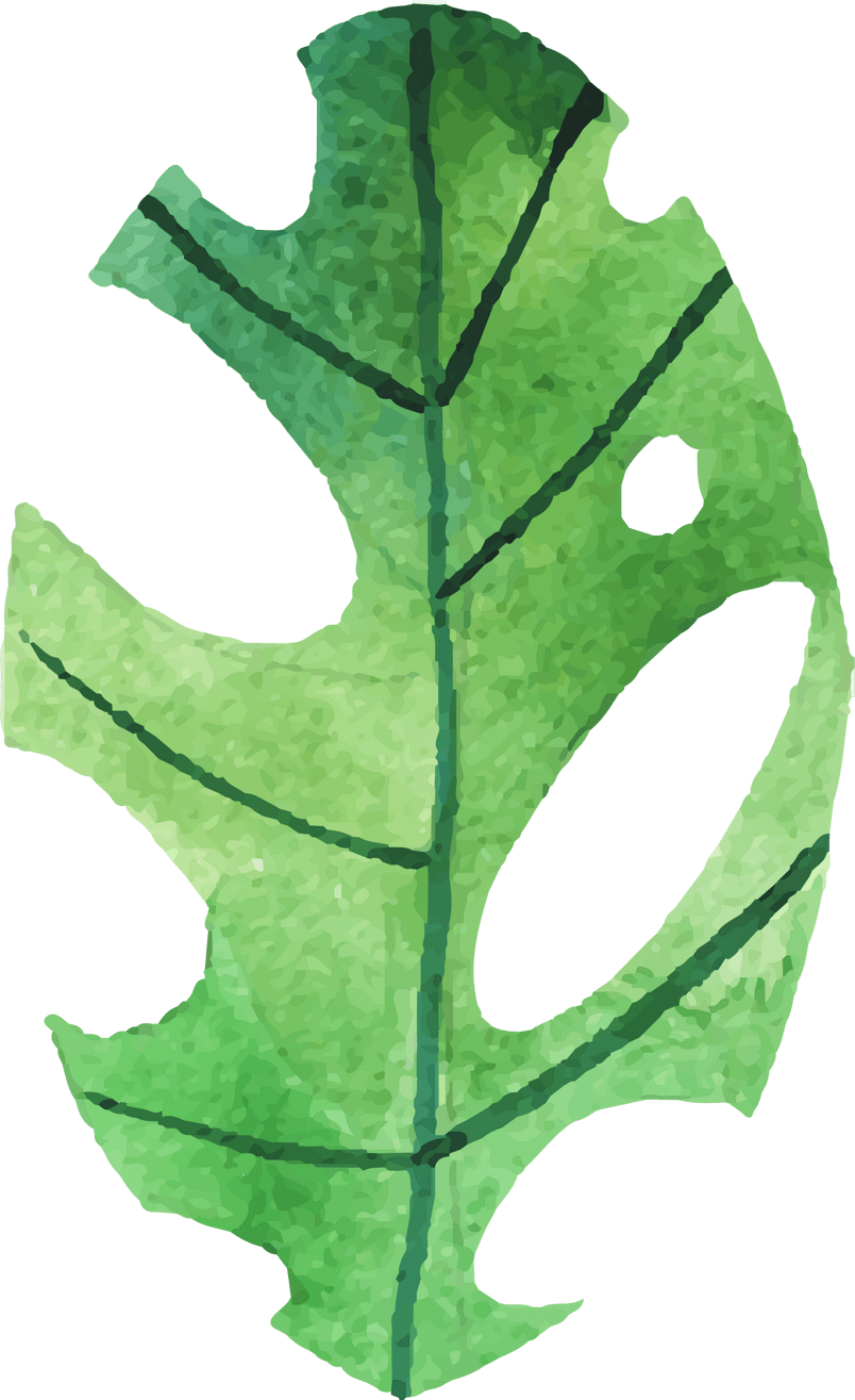 小清新绿色植物手绘插画节日素材免扣