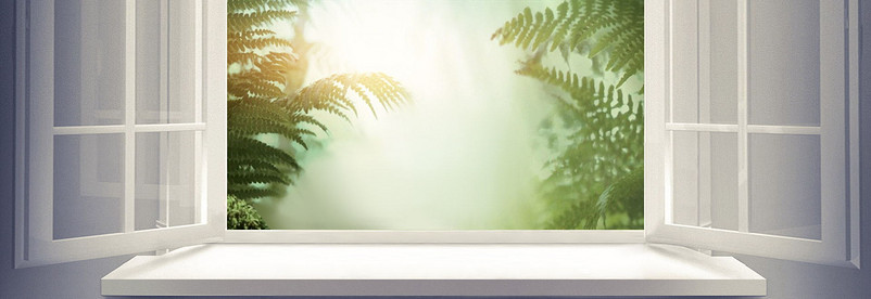 小清新文艺植物窗户男装促销海报背景