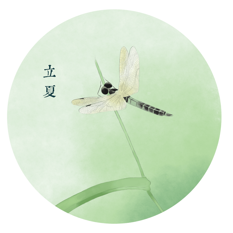 二十四节气立夏清新蜻蜓素材
