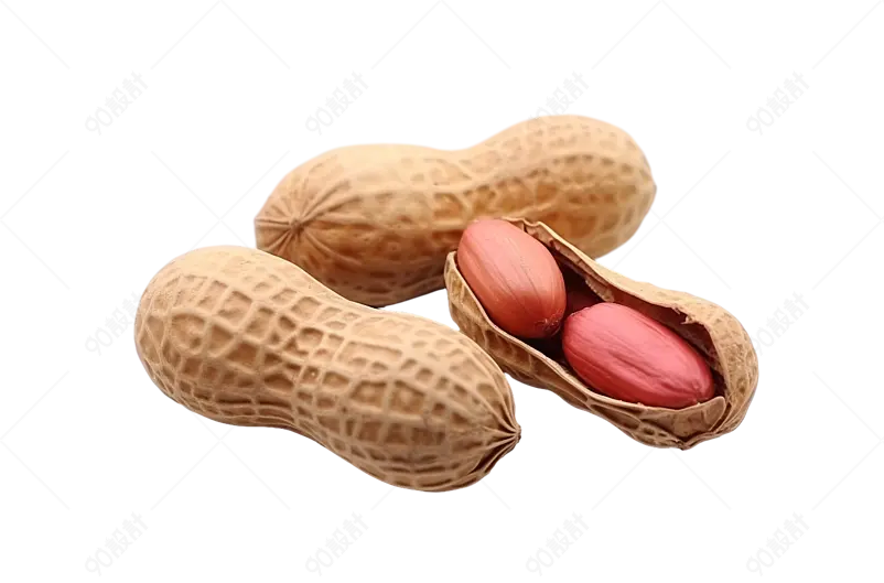 精心培育天然生长红皮花生