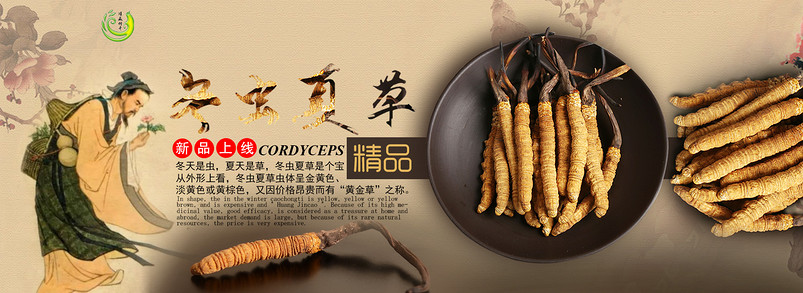 淘宝全屏海报滋补冬虫夏草psd源文件模板