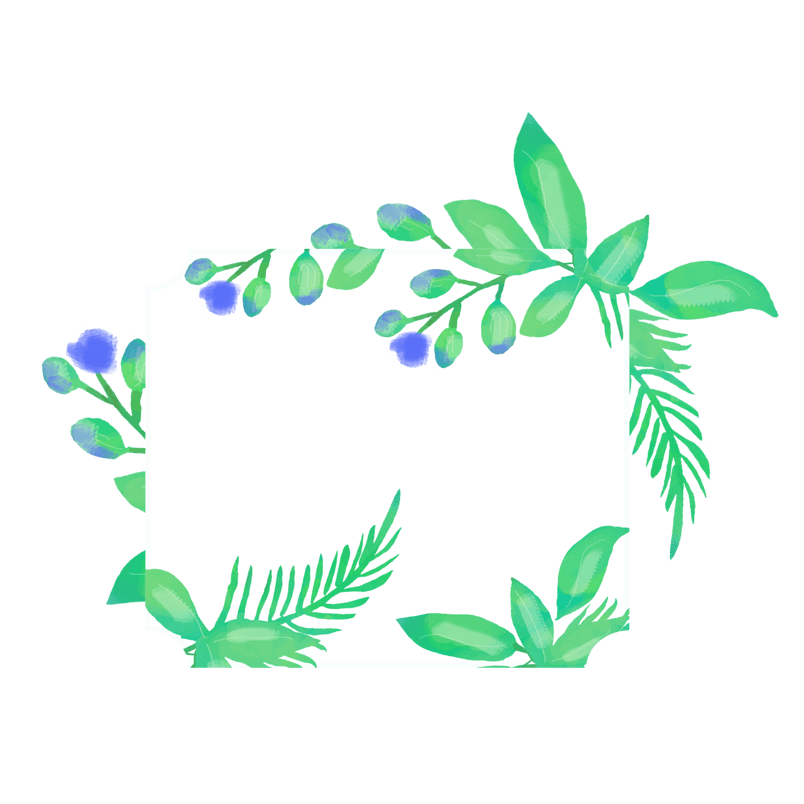 小清新植物边框png