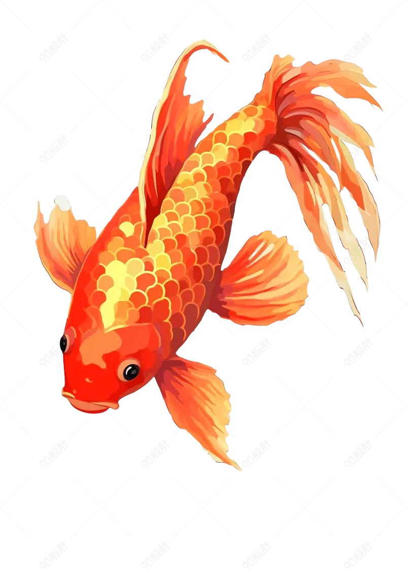 传统节日新年春节过年喜庆锦鲤