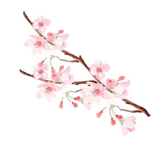 清新唯美手绘一支桃花