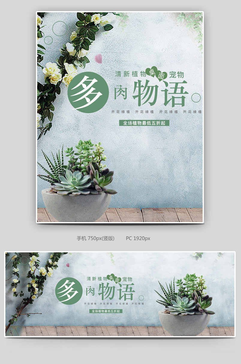 简约清新风格日常多肉植物全屏海报