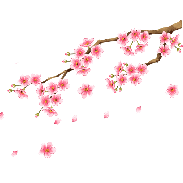 梅花树枝