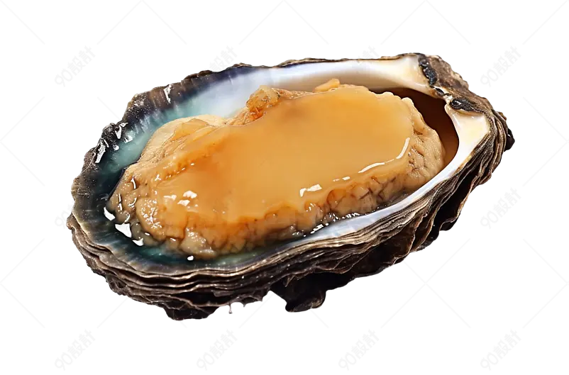 海鲜市场新鲜的鲍鱼鲜鲍鱼