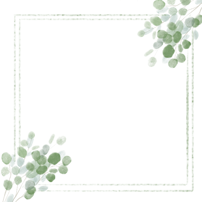 水墨边框中国风植物