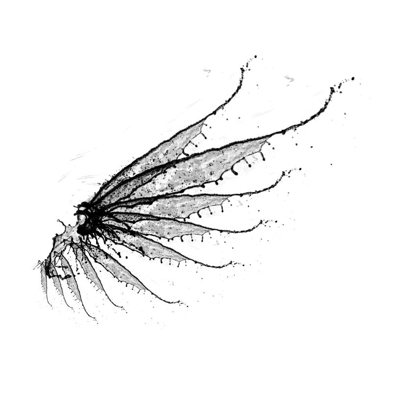 抽象墨色个性绘画