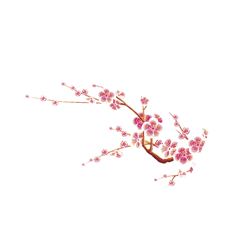 装饰图案粉色梅花