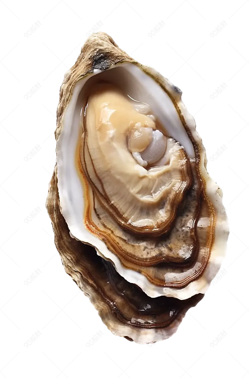 肉质鲜美的海产品牡蛎