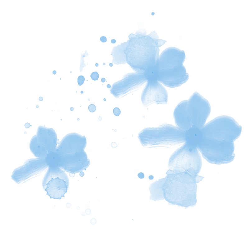中国风传统墨迹水渍花朵png