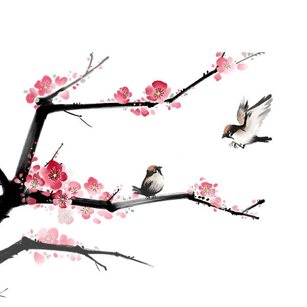 水彩梅花树枝
