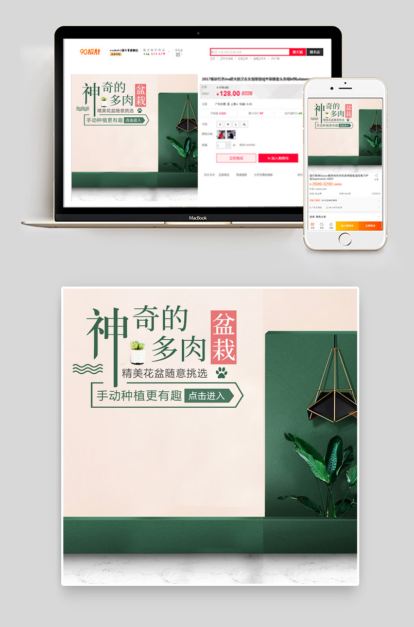 绿色植物绿萝发财树观音竹多肉花盆盆栽主图