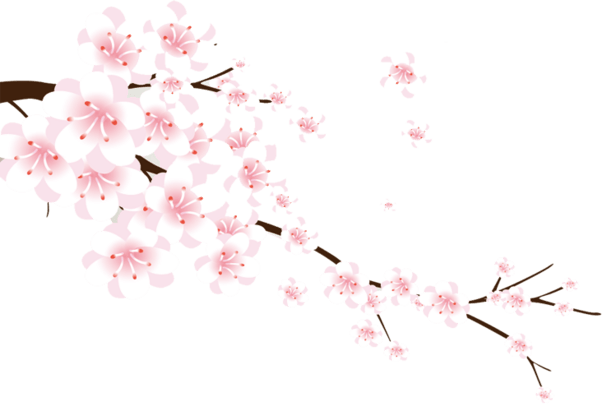 冬季梅花