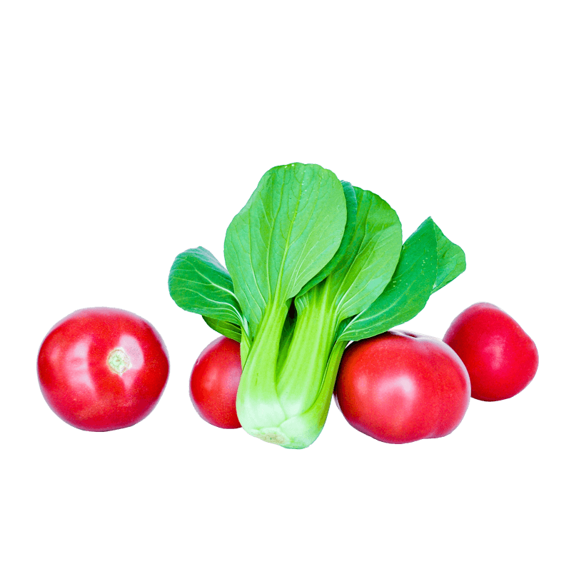 蔬菜西红柿油菜有机蔬菜高清实物摄影