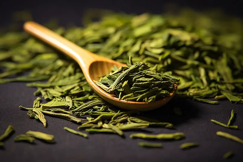 明前绿茶青叶甘露雀舌茶古风