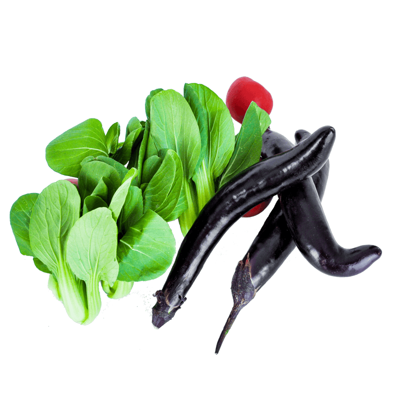 蔬菜西红柿茄子油菜有机蔬菜高清实物摄影