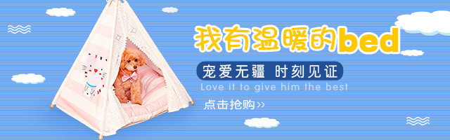 淘宝天猫卡通风宠物钻展创意psd分层模板