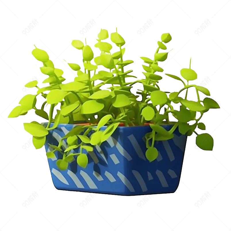 家居绿色植物净化空气盆栽
