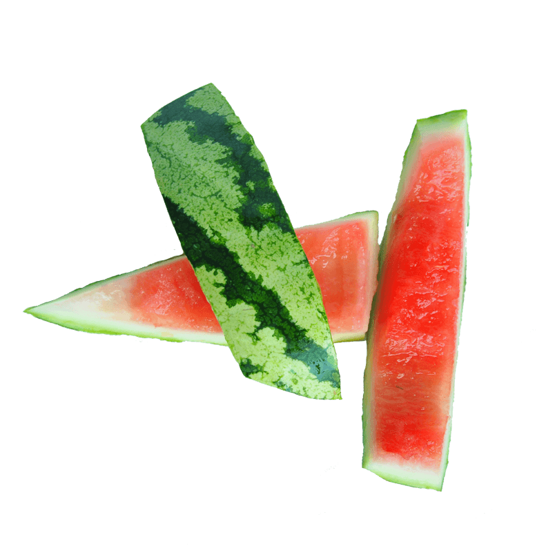 环保垃圾分类实物摄影拍摄