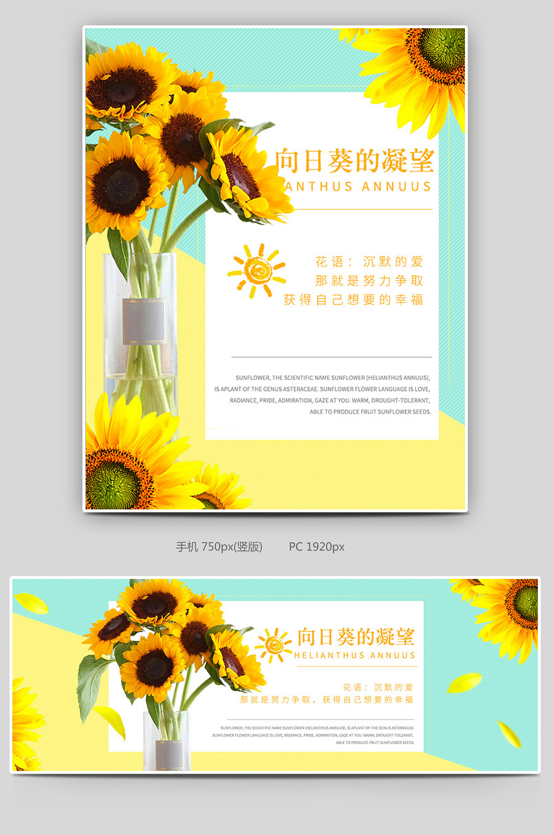 小清新简约风日常通用鲜花园艺向日葵海报