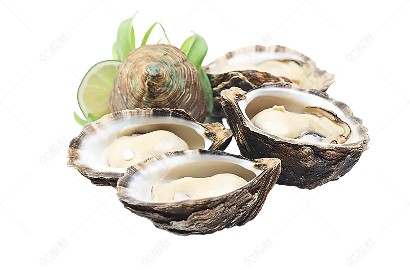 水产海鲜新鲜海鲜新鲜鲍鱼